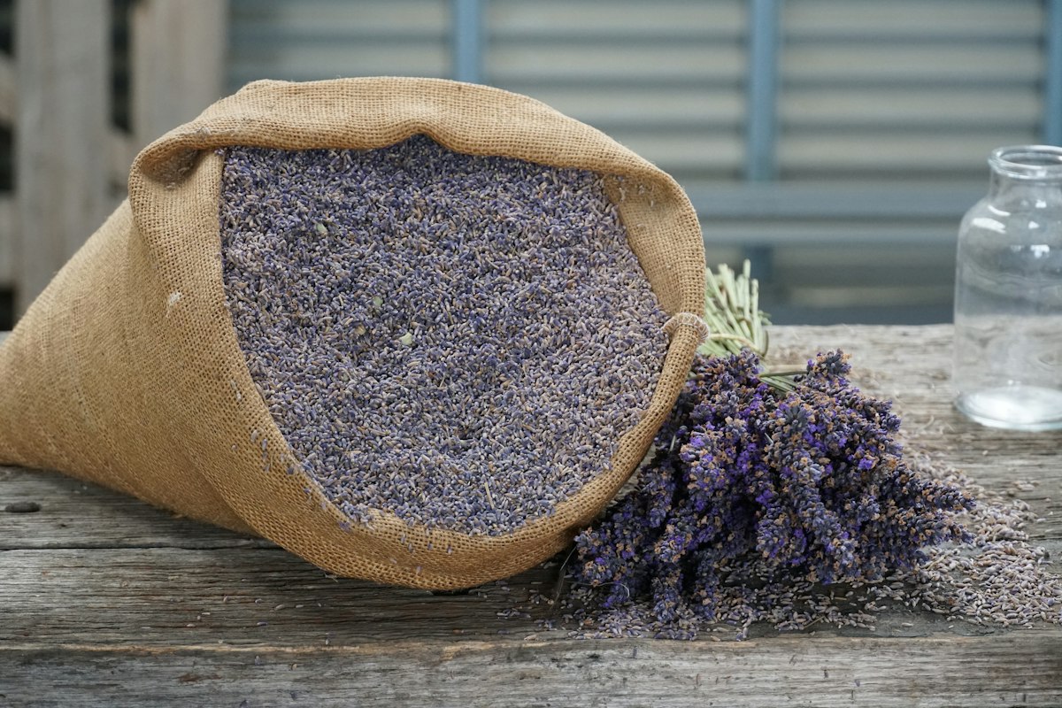 A fabric sachet of dried lavender resting on weathered wood